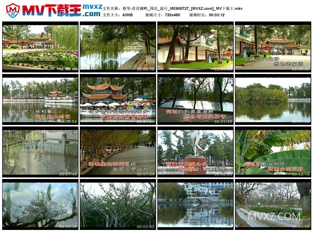 蔡琴-青青湖畔_国语_流行_ME600727